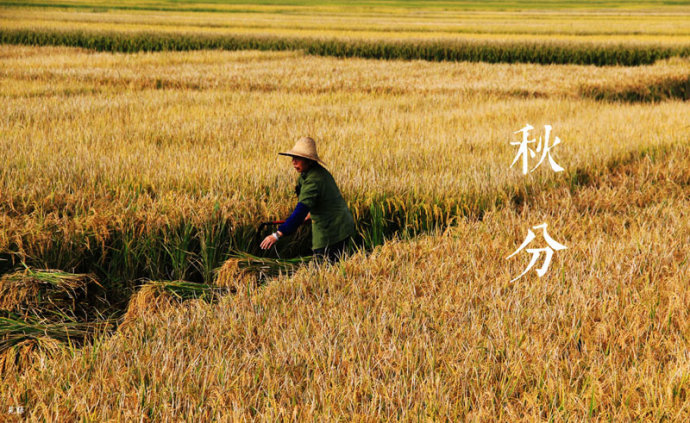 2-14111Q50449227.jpg 2-14111Q50449227.jpg