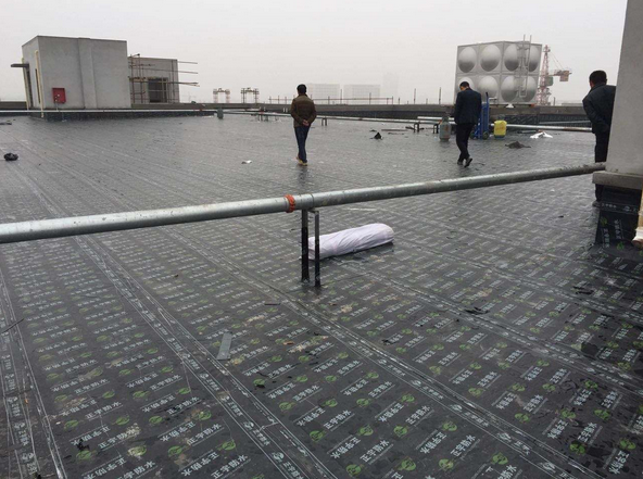 耐根穿刺防水卷材 耐根穿刺防水卷材