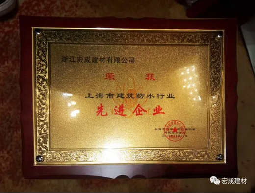 防水行業頒獎盛典 防水行業頒獎盛典